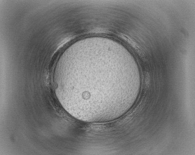 X0000115521258200911201652