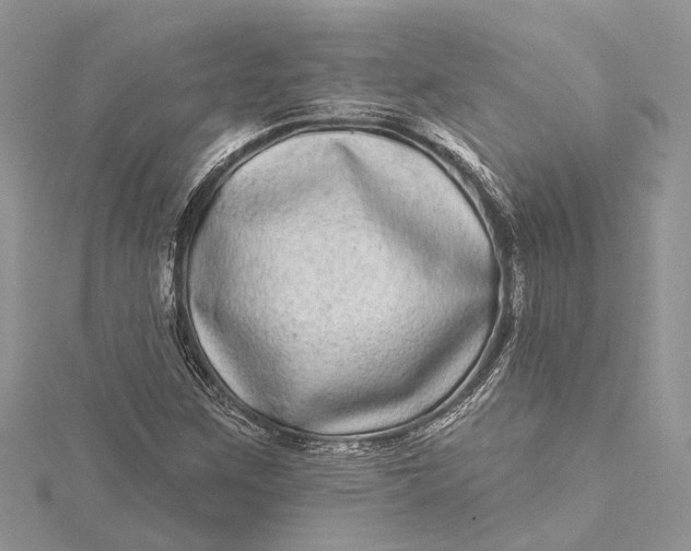 X0000115521259200911201652