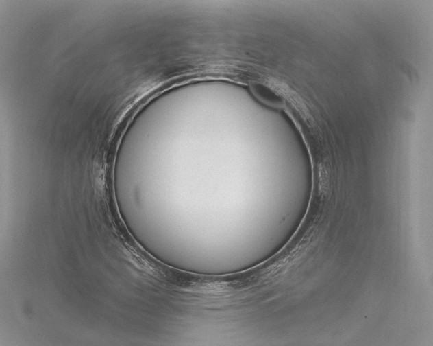 X0000115521260200911201652