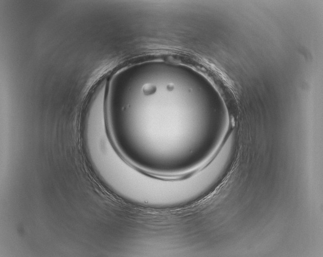 X0000115521261200911201652