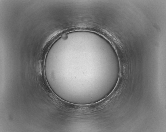 X0000115521262200911201652