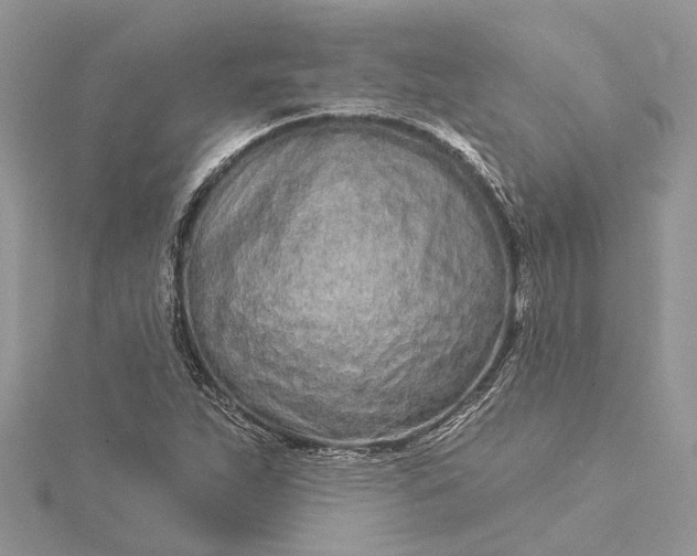 X0000115521263200911201652