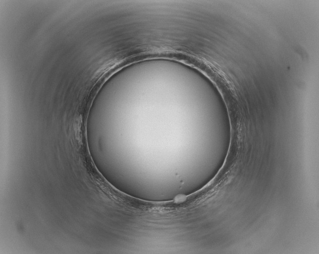 X0000115521265200911201652