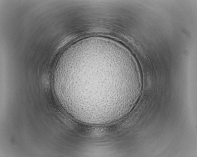 X0000115521266200911201652