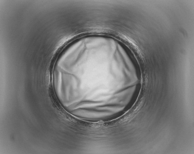 X0000115521267200911201652