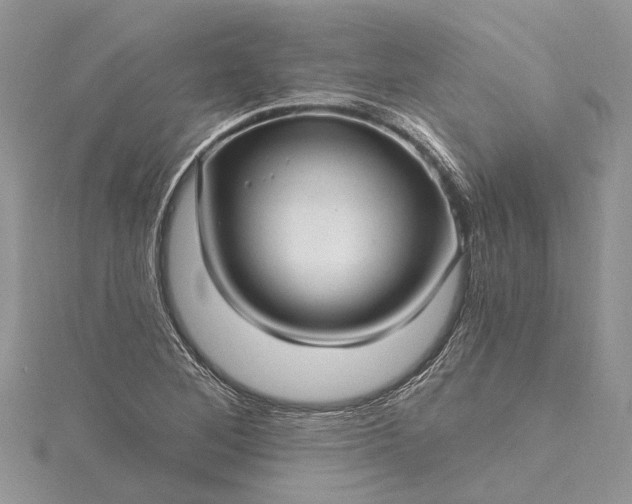 X0000115521268200911201652