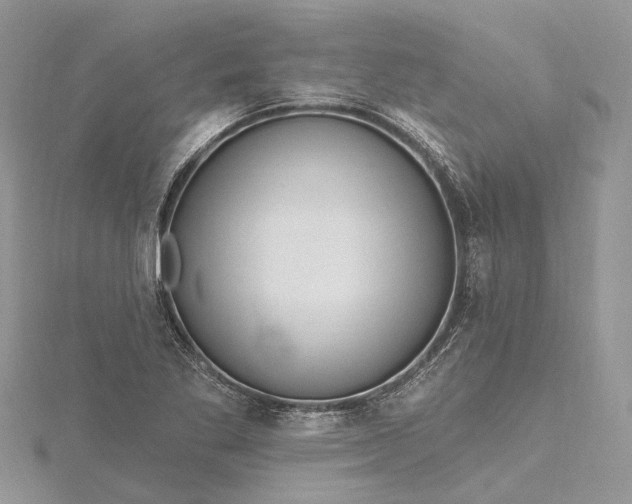 X0000115521269200911201652