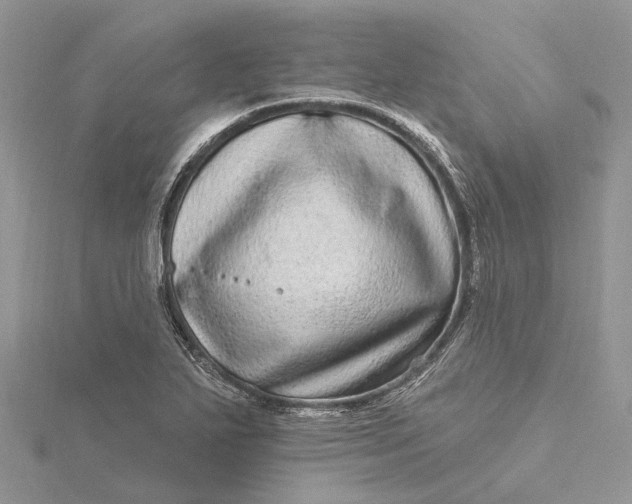 X0000115521271200911201652