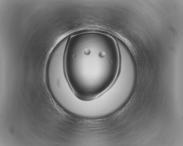 X0000115521272200911201652