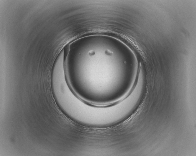 X0000115521273200911201651