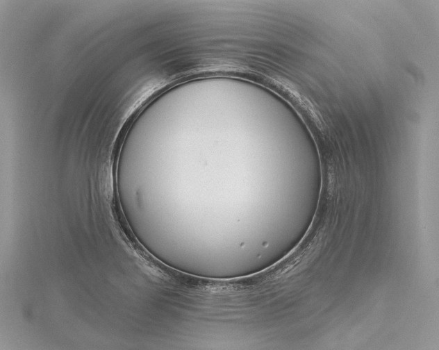 X0000115521274200911201651