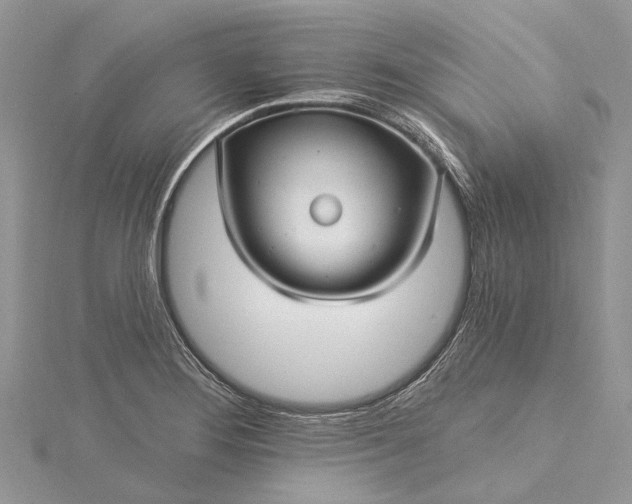 X0000115521276200911201651