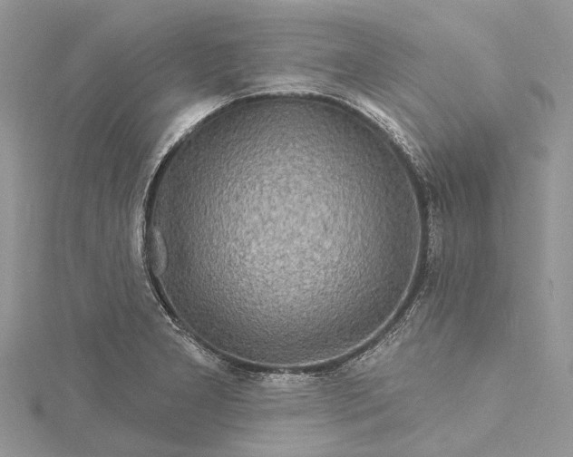 X0000115521277200911201651