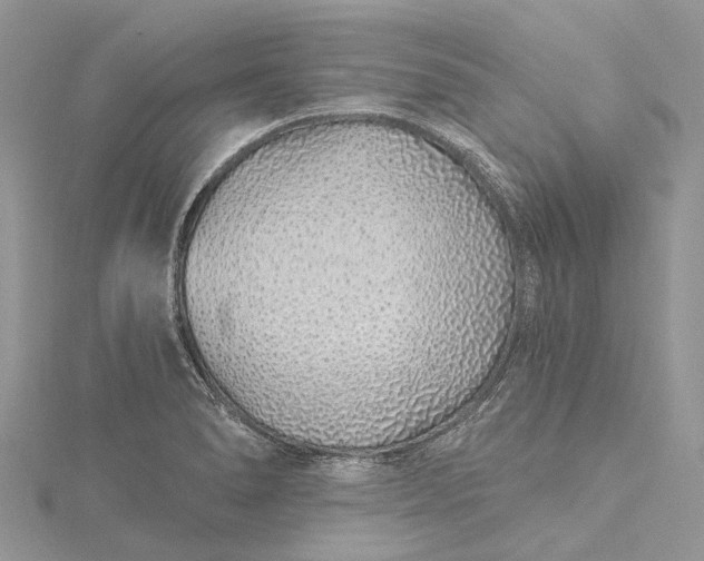 X0000115521278200911201651