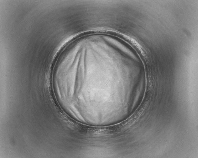 X0000115521279200911201651