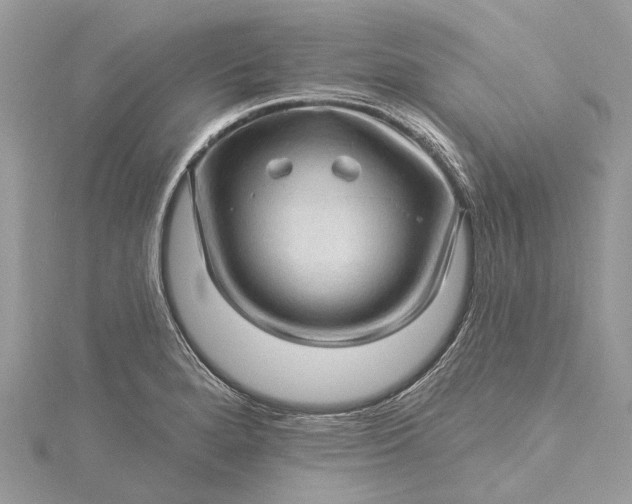 X0000115521280200911201651