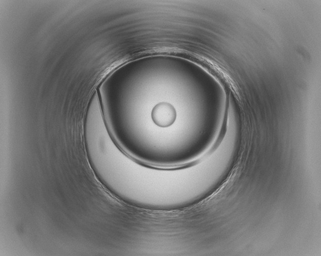 X0000115521281200911201651