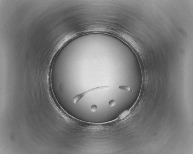 X0000115521282200911201651