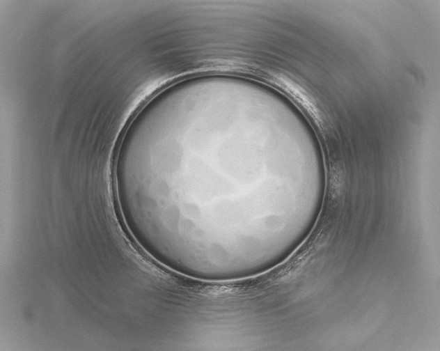 X0000115521283200911201651