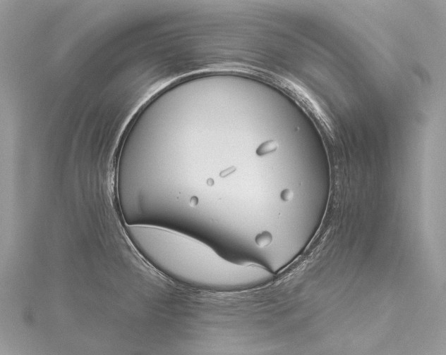 X0000115521284200911201651