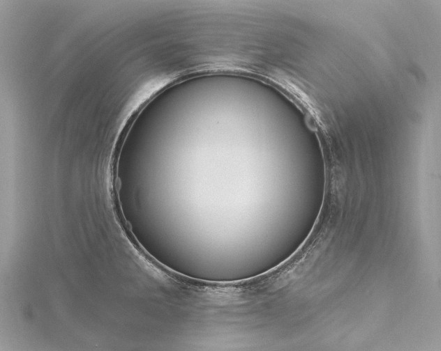 X0000115521285200911201651