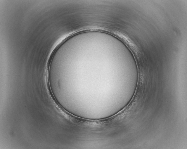 X0000115521286200911201651