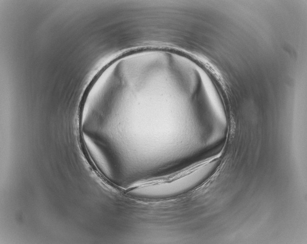 X0000115521287200911201651