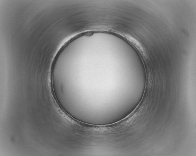 X0000115521288200911201651