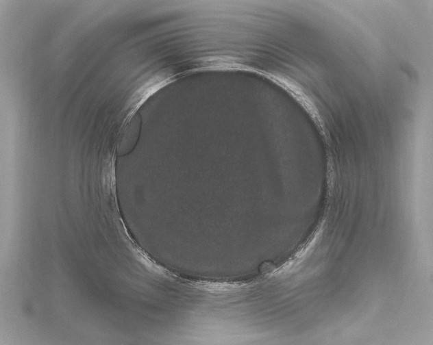 X0000115521289200911201651