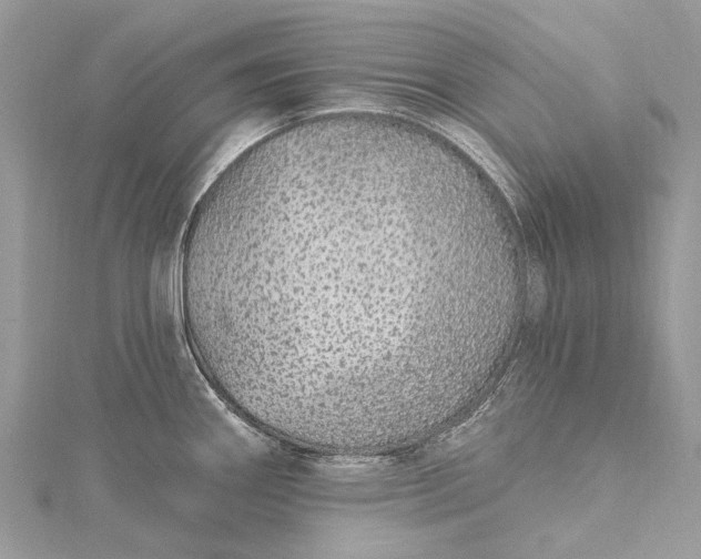 X0000115521290200911201651