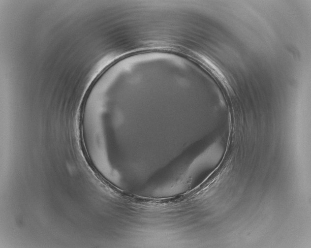 X0000115521291200911201651