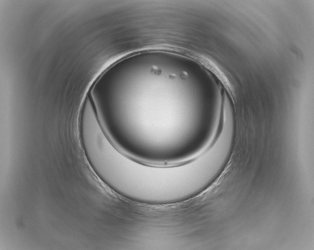 X0000115521292200911201651