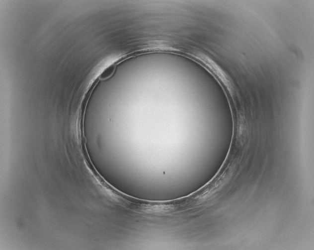 X0000115521293200911201651