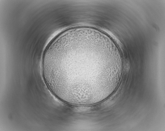 X0000115521294200911201651