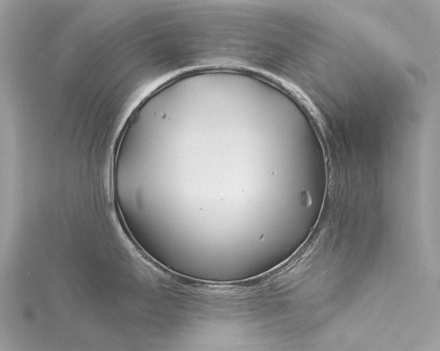 X0000115521295200911201651