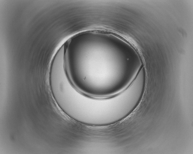 X0000115521296200911201651