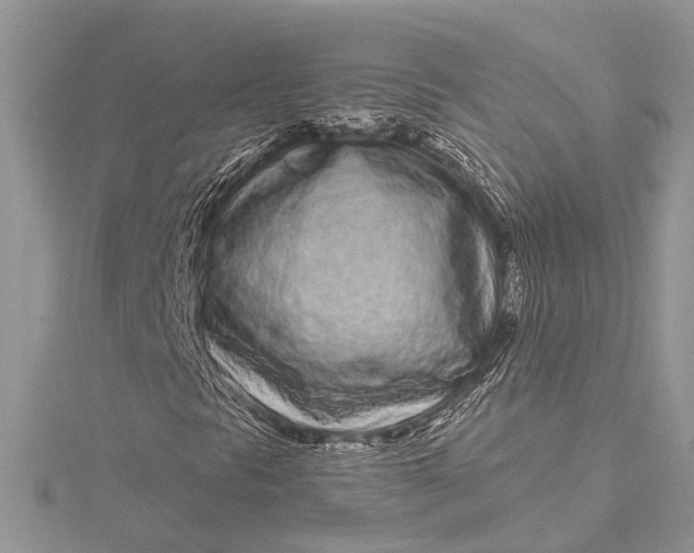 X0000115521297200911201650