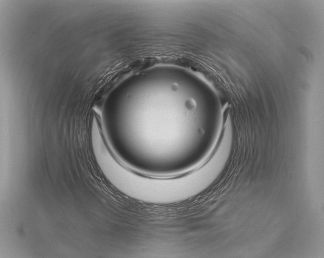 X0000115521298200911201650