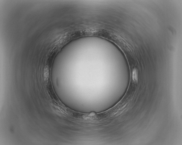 X0000115521299200911201651