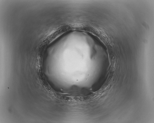 X0000115521301200911201651