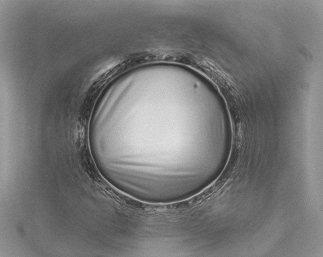 X0000115521302200911201651