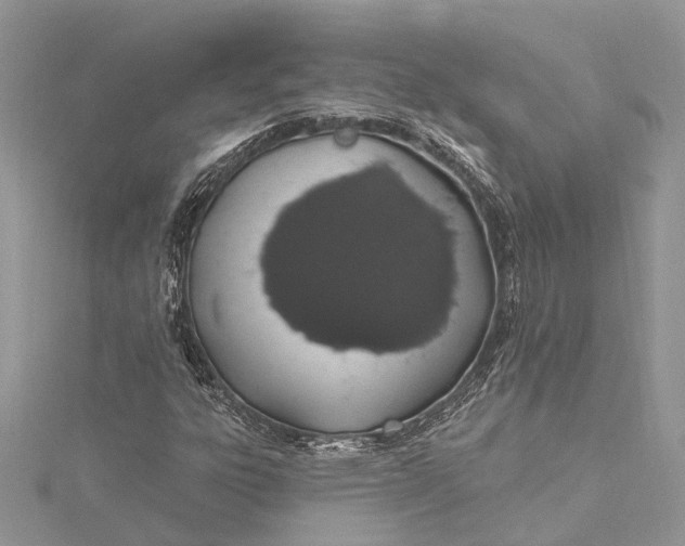 X0000115521303200911201651