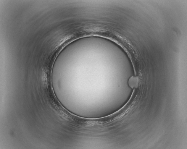 X0000115521305200911201651