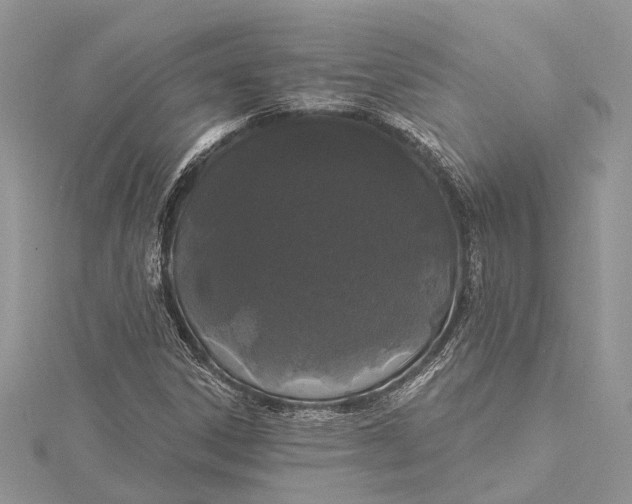 X0000115521306200911201651