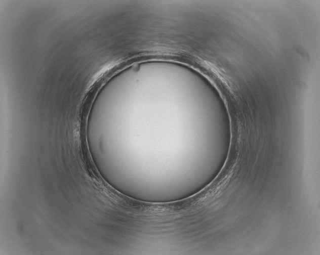 X0000115521307200911201651