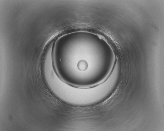 X0000115521309200911201651