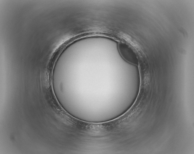 X0000115521310200911201651