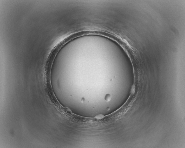 X0000115521311200911201651