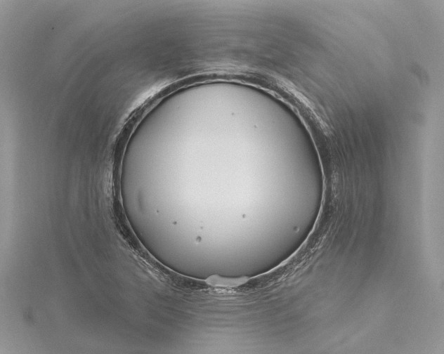 X0000115521315200911201651