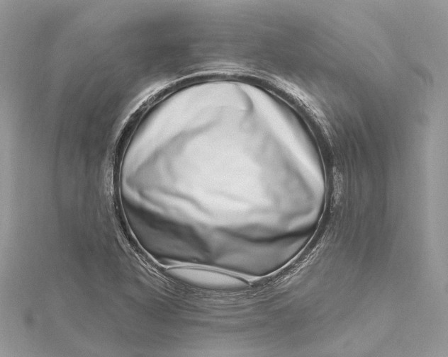 X0000115521318200911201651